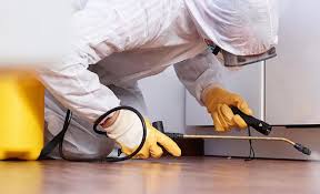 Best Fumigation Services  in Ocean Grove, NJ